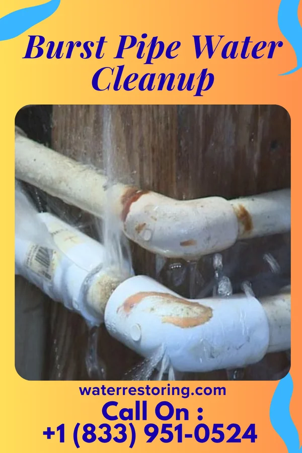 Burst Pipe Water Cleanup in Sandy Hook, KY