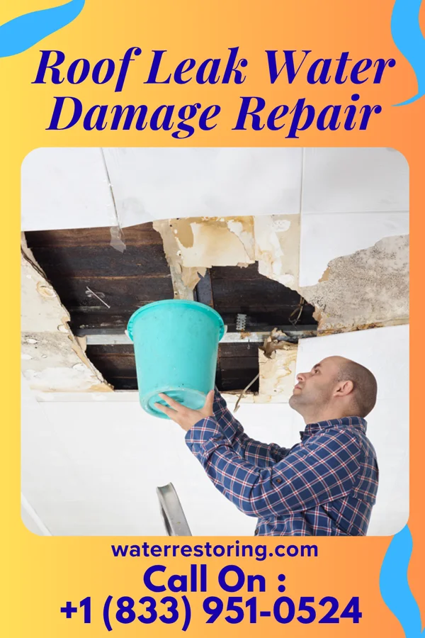 Roof Leak Water Damage Repair in Sandy Hook, KY