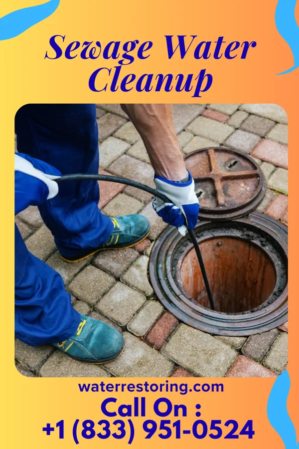 Sewage Water Cleanup in Sandy Hook, KY